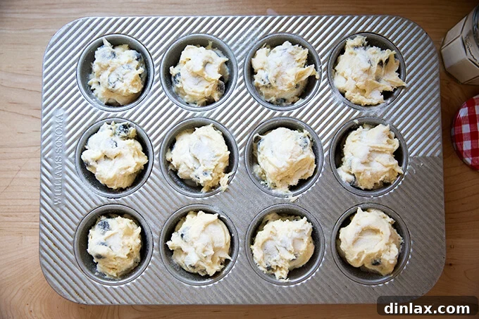 Blueberry muffin batter carefully scooped into a 12-cup muffin tin.