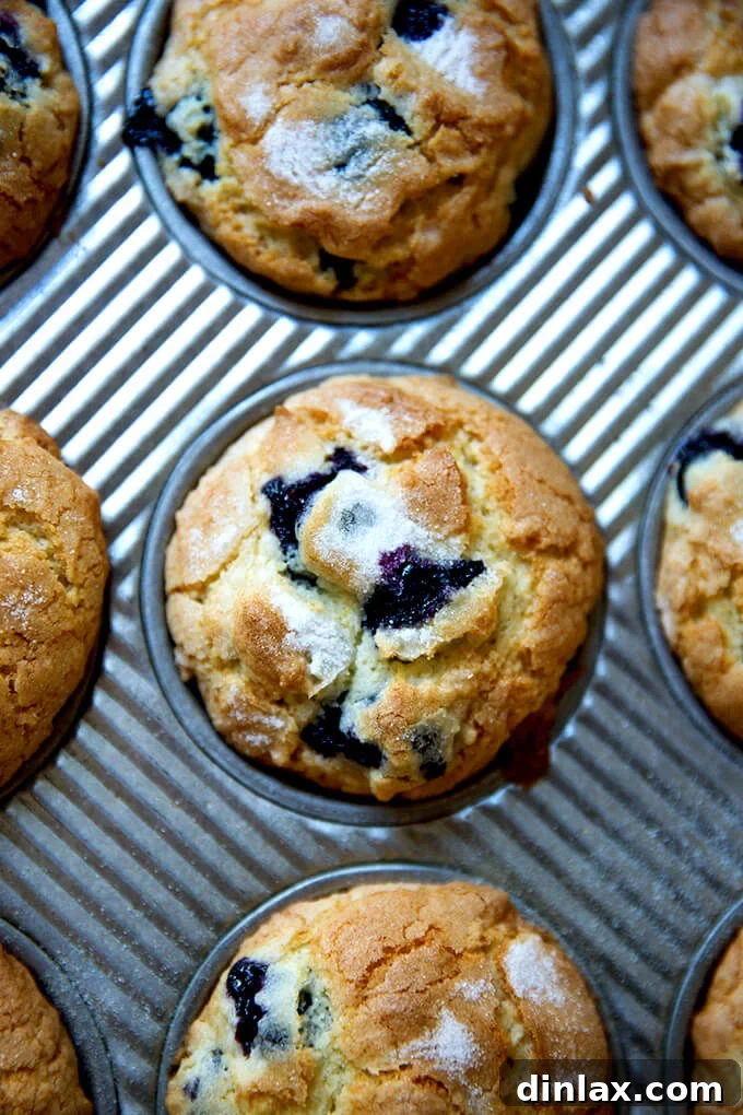 An overhead shot of a golden-brown blueberry muffin baking in a muffin tin, still in the oven.