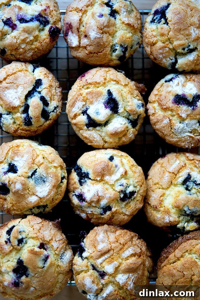 An overhead shot of a dozen freshly baked blueberry muffins cooling on a wire rack.