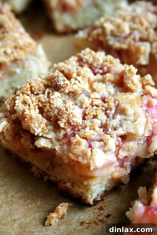 Beautifully baked rhubarb buckle with a golden crumb topping