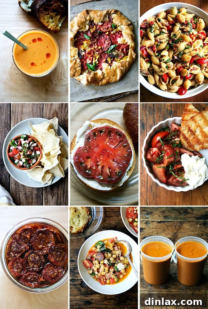 Cultivating Conversations: Margaret Roach on Tomatoes, Corn, and Zucchini 4 A vibrant collage of tomato-based dishes, including salads, sauces, and baked goods, showcasing the versatility of summer tomatoes.
