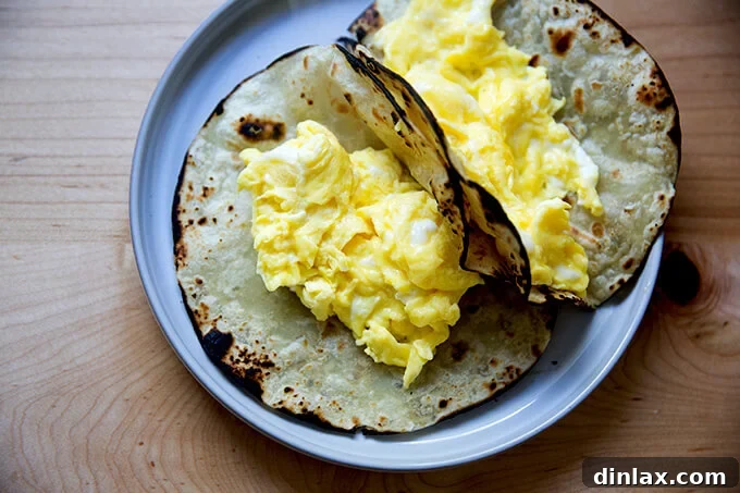 Two soft flour tortillas filled with perfectly scrambled eggs, forming the base of the breakfast tacos.