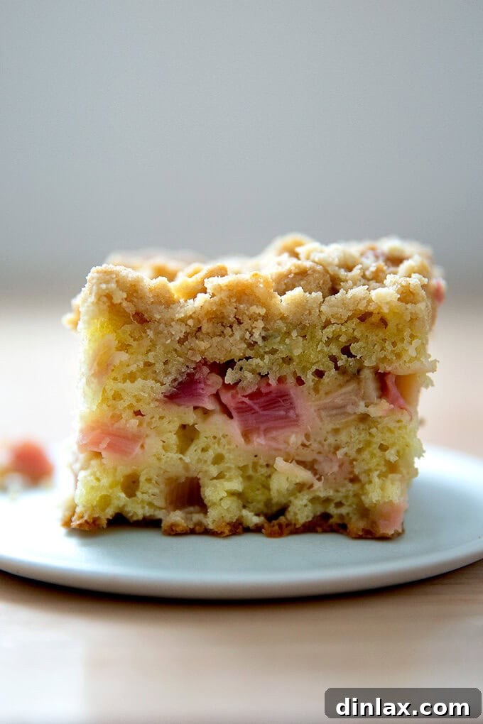 A delightful slice of golden rhubarb buckle, adorned with a crumbly topping and showcasing the tender, pink rhubarb pieces within, resting on a white plate.