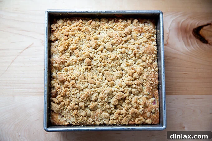 A freshly baked rhubarb buckle, golden brown and bubbling with fruit, just removed from the oven, filling the air with a sweet and tart aroma.