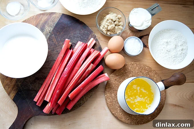 All ingredients meticulously laid out on a kitchen counter, showcasing the fresh rhubarb, dry baking goods, and dairy, ready for making this delightful rhubarb buckle.