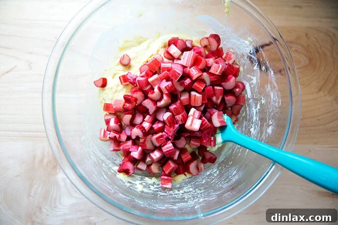 Diced fresh rhubarb, vibrant pink and green, being gently folded into the prepared cake batter, ensuring even distribution throughout the mixture.
