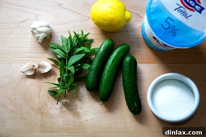 A vibrant display of fresh ingredients for tzatziki including whole cucumbers, a bowl of thick Greek yogurt, garlic cloves, fresh mint, dill, and a lemon.