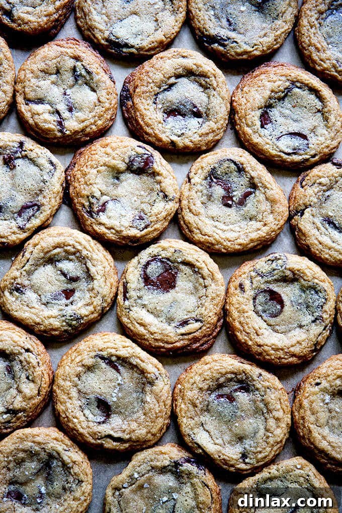 Decadent Gluten-Free Chocolate Chip Cookies 2 Irresistible gluten-free chocolate chip cookies, perfectly baked and arranged on a sheet pan, ready to be enjoyed.