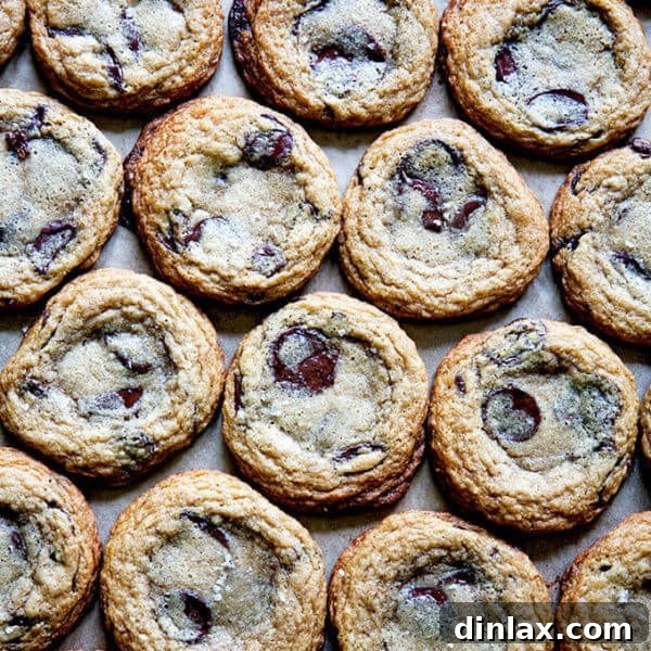 Gluten-free chocolate chip cookies on a sheet pan.