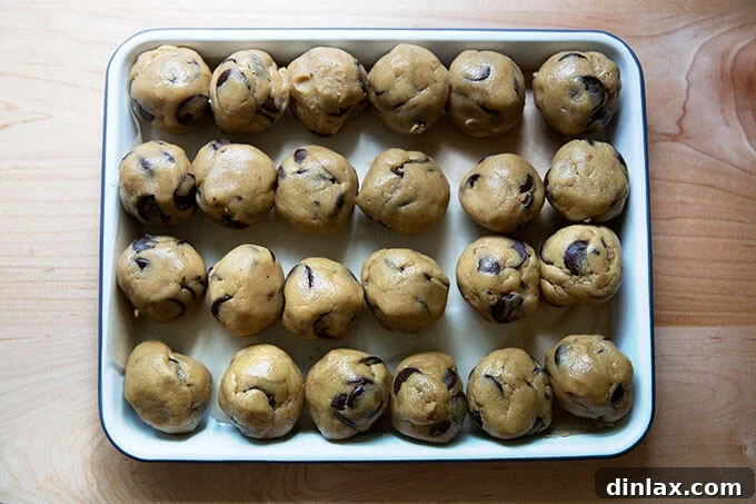 Decadent Gluten-Free Chocolate Chip Cookies 6 A perfectly arranged tray of uniformly weighed gluten-free cookie dough balls, ready for chilling or freezing.