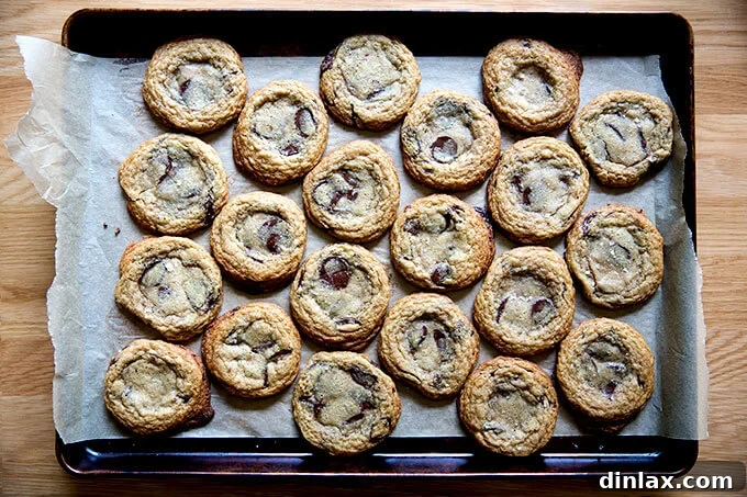 Decadent Gluten-Free Chocolate Chip Cookies 8 A sheet pan of freshly baked gluten-free chocolate chip cookies, removed from the oven and cooling to achieve perfect texture.