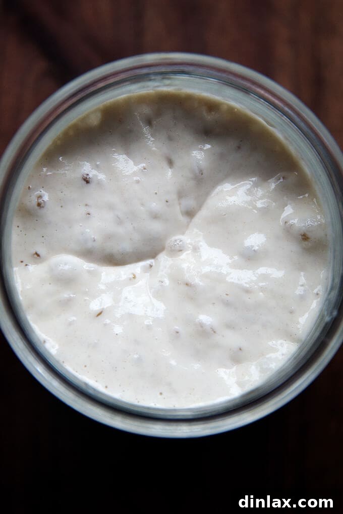 An overhead shot of a bubbly, active sourdough starter in a glass jar.