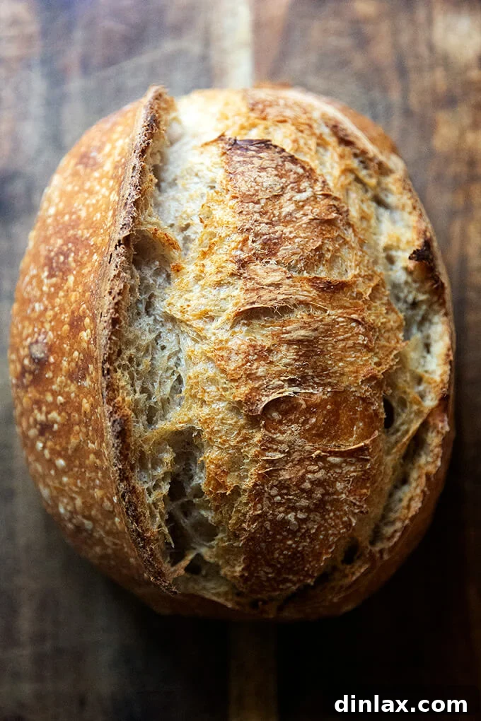 A beautifully baked loaf of sourdough bread with a crispy crust.