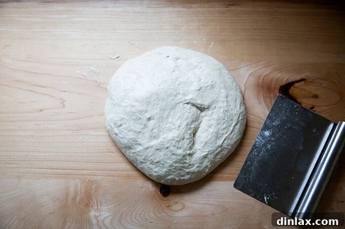 A blob of sourdough on the counter aside a bench scraper.