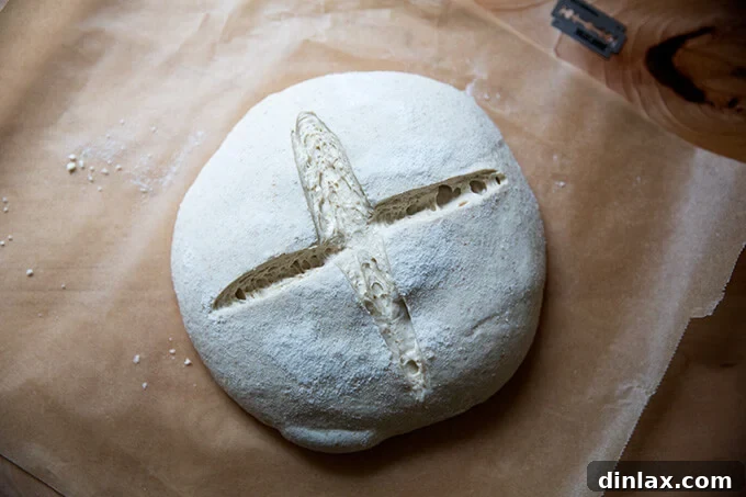A scored sourdough boule on a sheet of parchment paper.
