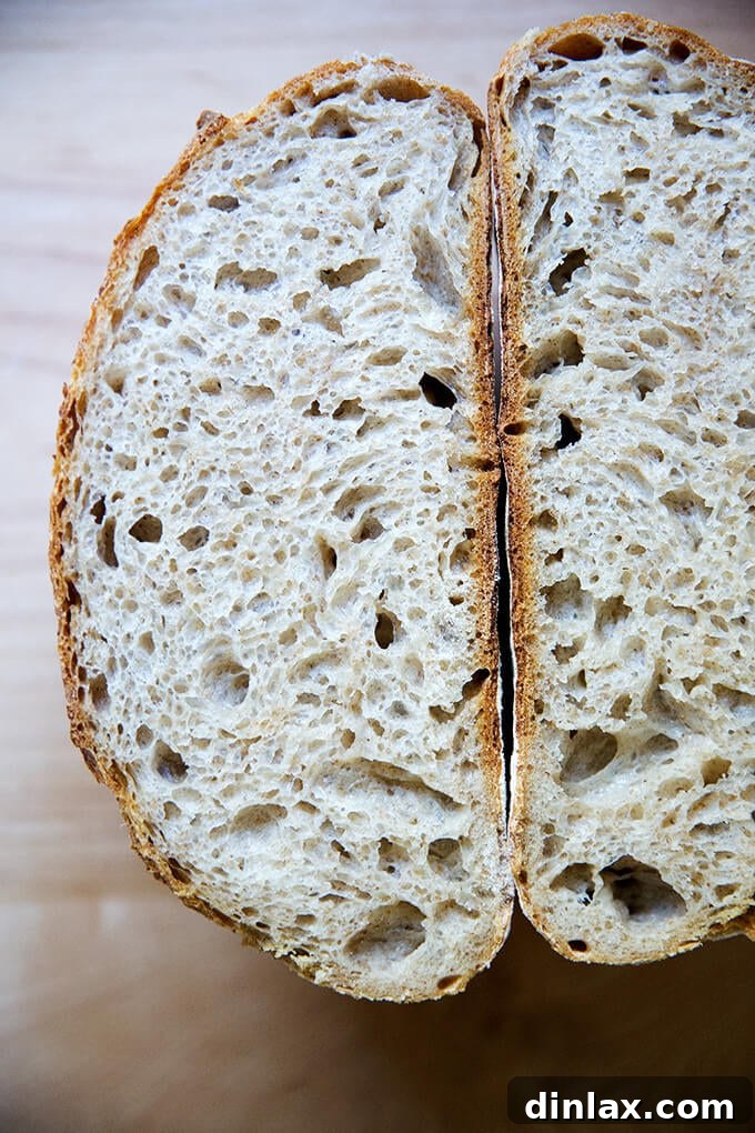 Simple Sourdough with a Hearty Whole Grain Touch 17 A halved loaf of high-hydration sourdough bread, revealing its airy and open crumb structure.