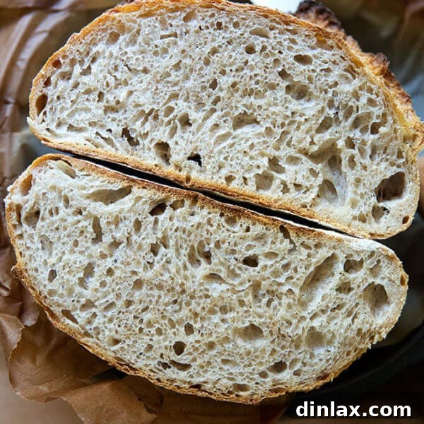 A halved loaf of high hydration sourdough bread.