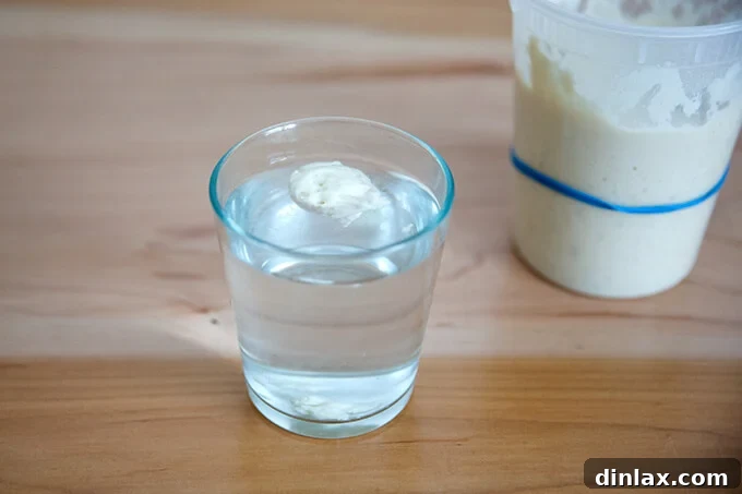Simple Sourdough with a Hearty Whole Grain Touch 5 A spoonful of sourdough starter floating on water, indicating it is active and ready for use.
