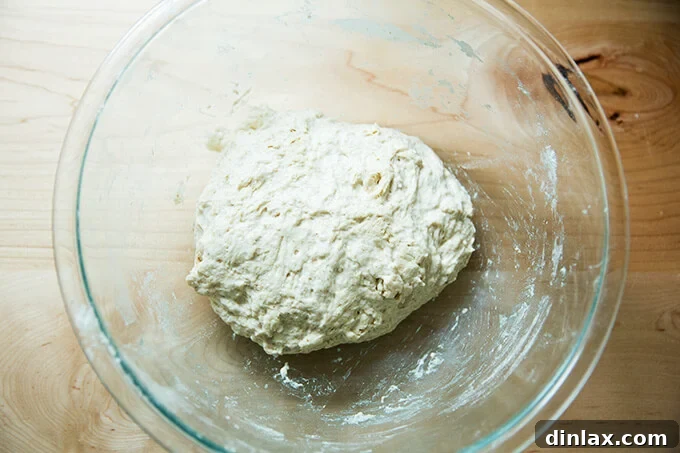 Simple Sourdough with a Hearty Whole Grain Touch 9 Freshly mixed high-hydration sourdough bread dough, appearing shaggy and sticky in a mixing bowl.