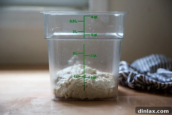 Simple Sourdough with a Hearty Whole Grain Touch 10 Just-mixed sourdough dough transferred into a 4-quart Cambro container for bulk fermentation.