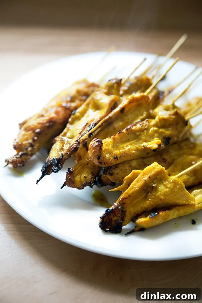 A beautifully arranged plate features a generous serving of easy Thai chicken satay skewers, garnished with fresh herbs, ready for consumption.