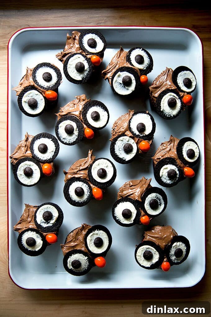 A tray of cupcakes decorated as owls with chocolate frosting, Oreo eyes, and candy noses.