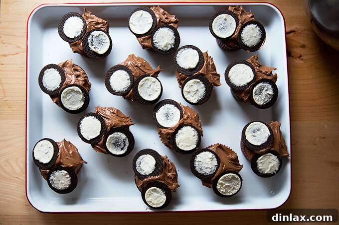A tray filled with chocolate frosted cupcakes, each topped with two Oreo halves forming the owl's eyes.