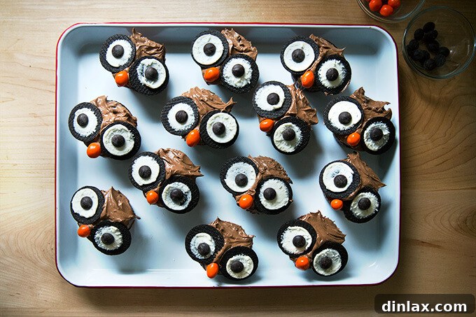A tray of fully decorated owl cupcakes, featuring chocolate frosting, Oreo eyes, chocolate chip pupils, and orange candy beaks.