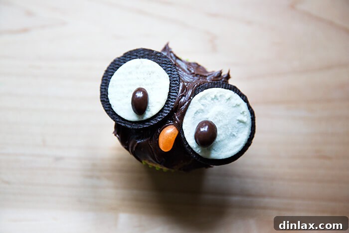 A single owl cupcake showcasing a jelly bean as its orange beak.