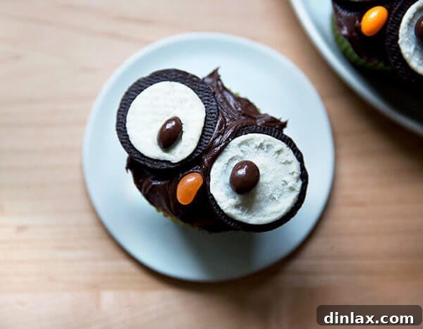 A single owl cupcake, perfectly decorated and ready to enjoy.