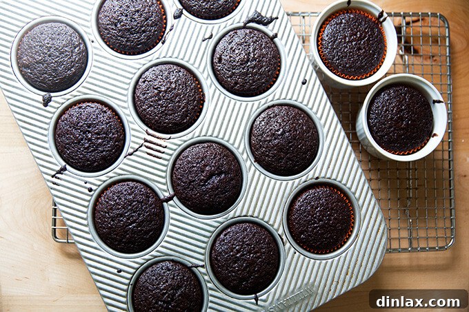 An overhead shot of just-baked chocolate cupcakes cooling on a wire rack.