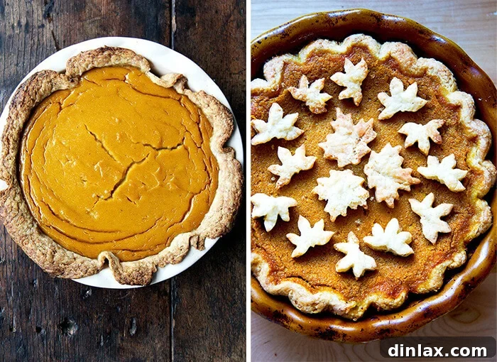 Two squash pies, one elegantly decorated with pie crust cookies, and the other presented plainly for comparison.