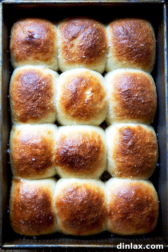 Freshly baked golden brown buttermilk pull-apart rolls in a pan, ready to be served.