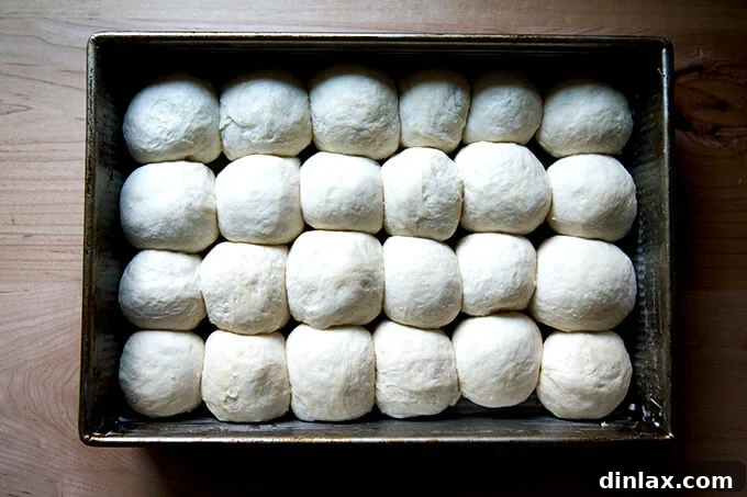An overhead shot of formed and risen pull-apart rolls in a 9x13-inch pan, having beautifully puffed up and ready for baking.