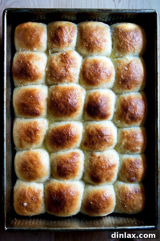 Overhead shot of a full pan of just-baked buttermilk pull-apart rolls, highlighting their golden tops and collective appeal.
