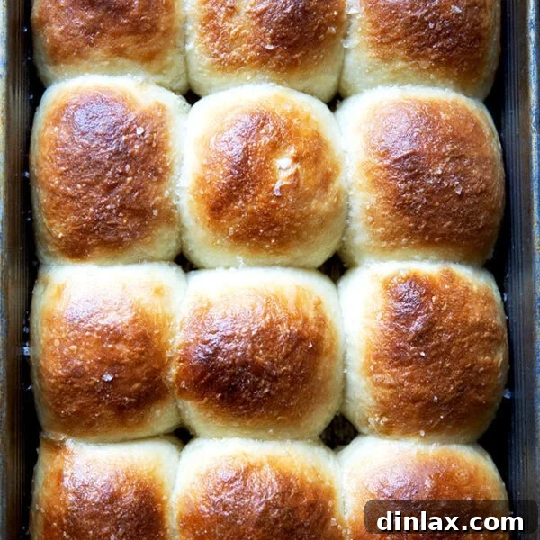 Just-baked Buttermilk Pull-Apart rolls in a baking pan, showing their perfectly golden tops and inviting texture.