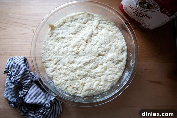 The dough for buttermilk pull-apart rolls, beautifully risen in a bowl after its first fermentation.