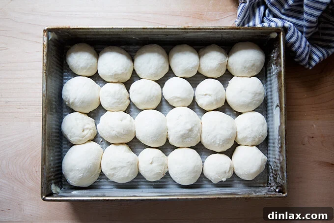 An overhead shot of formed but unbaked pull-apart rolls neatly arranged in a 9x13-inch pan, ready for the overnight chill.