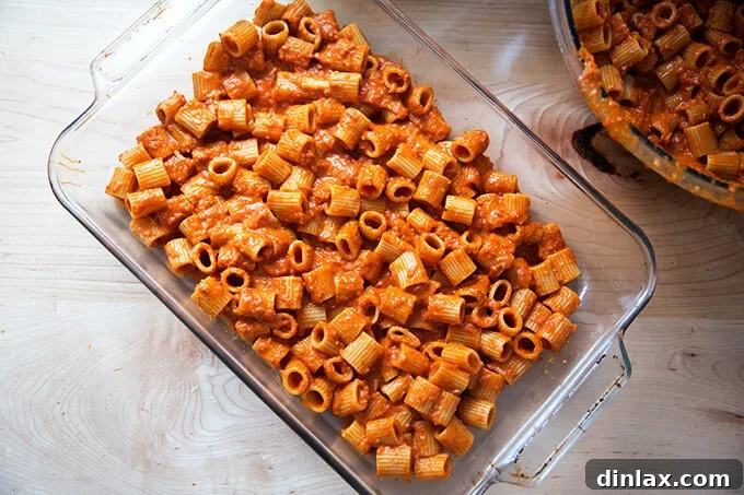 The first half of the penne pasta, coated in vodka sauce, spread evenly in a 9x13-inch baking pan, forming the base layer.