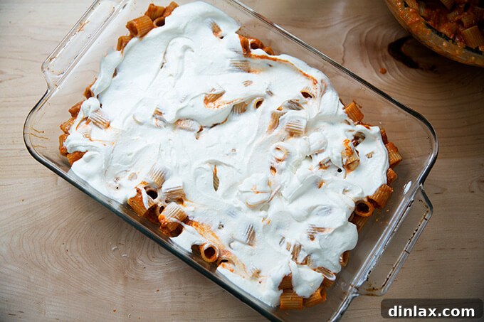 A 9x13-inch baking pan with a layer of penne pasta, topped with a smooth, creamy layer of ricotta cheese mixed with heavy cream.