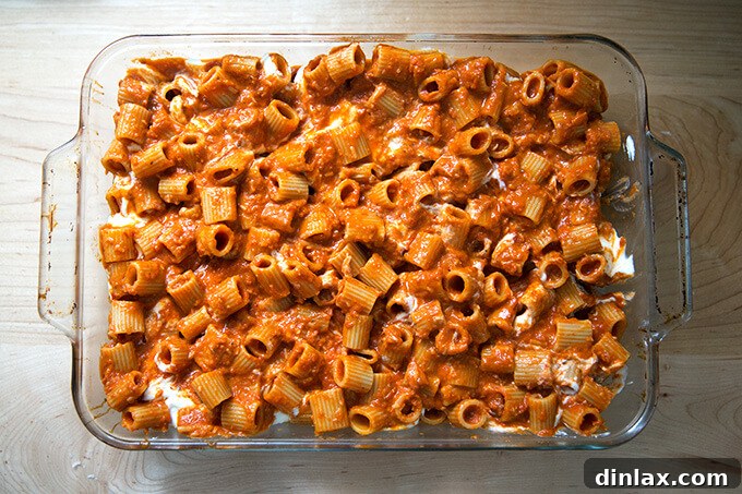 A 9x13-inch baking pan, now filled with the second layer of penne pasta, completing the main pasta base for the bake.