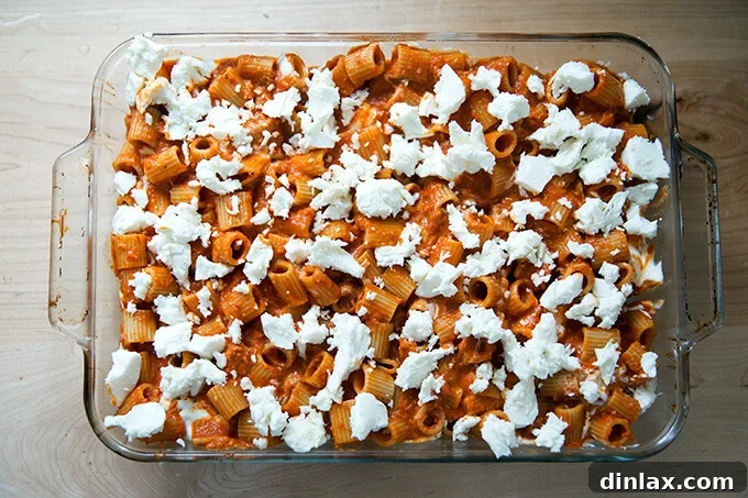 A 9x13-inch baking pan filled with penne alla vodka, topped with fresh mozzarella cheese, just before being placed in the oven.