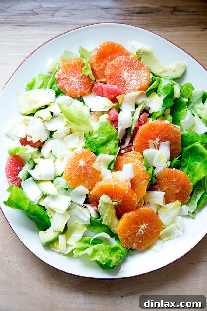 A platter topped with an endive, grapefruit and avocado salad, with Boston lettuce incorporated.