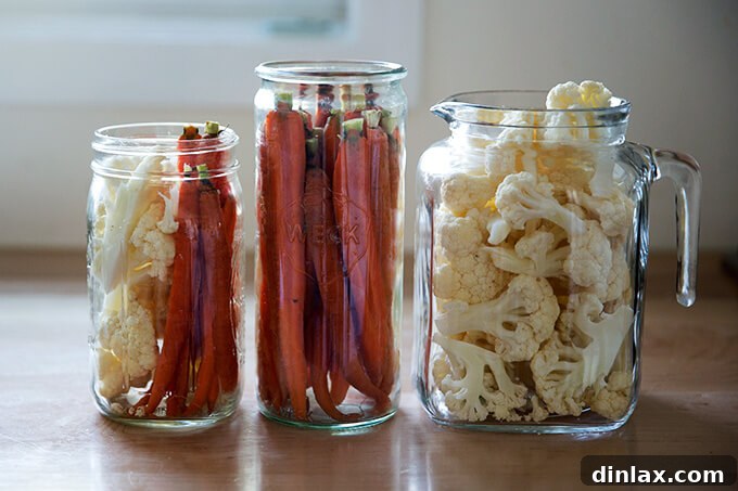 Glass jars tightly packed with various crudités, including carrots and cauliflower, awaiting the pickling liquid.