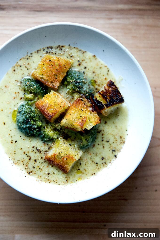 Golden Cheddar Broccoli Bisque 2 A bowl of vibrant green broccoli-cheddar soup, garnished with golden olive oil toasted croutons, promises a comforting and flavorful meal.