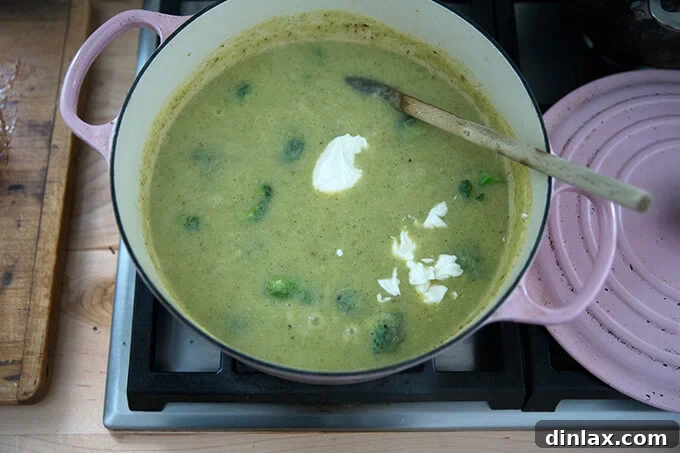 Golden Cheddar Broccoli Bisque 12 A dollop of plain Greek yogurt is added to the broccoli-cheddar soup in a Dutch oven, ready to be stirred in for a tangy finish.