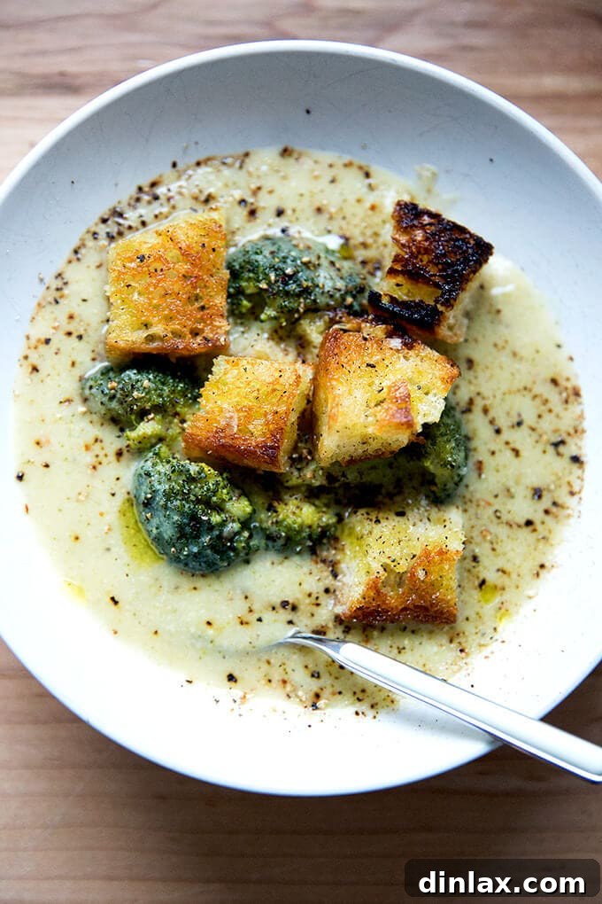 Golden Cheddar Broccoli Bisque 15 A steaming bowl of broccoli-cheddar soup, adorned with golden croutons and a spoon, invites a comforting meal.