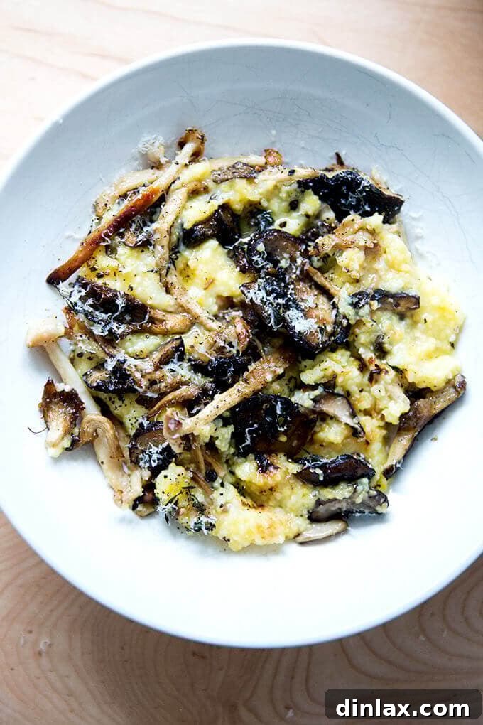 A comforting bowl of roasted mushroom polenta bake, generously topped with savory parmesan cheese and freshly ground black pepper.