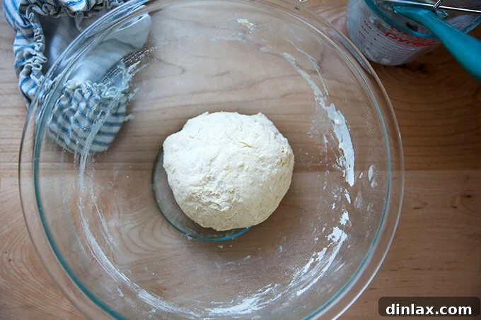 A ball of freshly mixed, sticky naan dough in a mixing bowl.