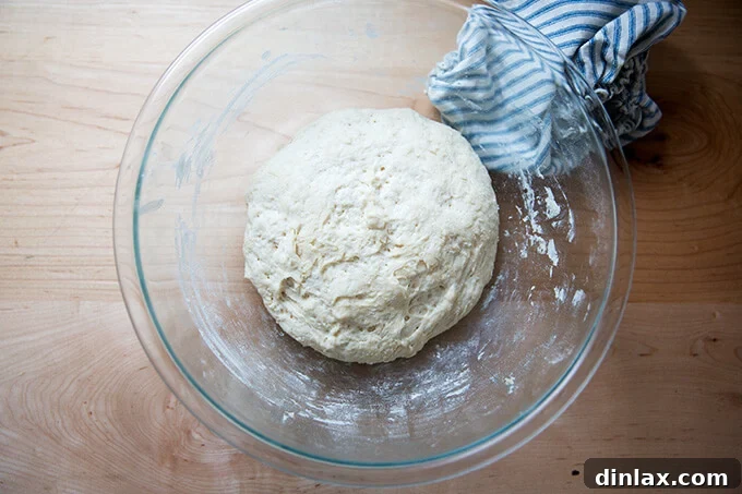 A bowl of naan dough, nicely risen and expanded, covered with a towel.